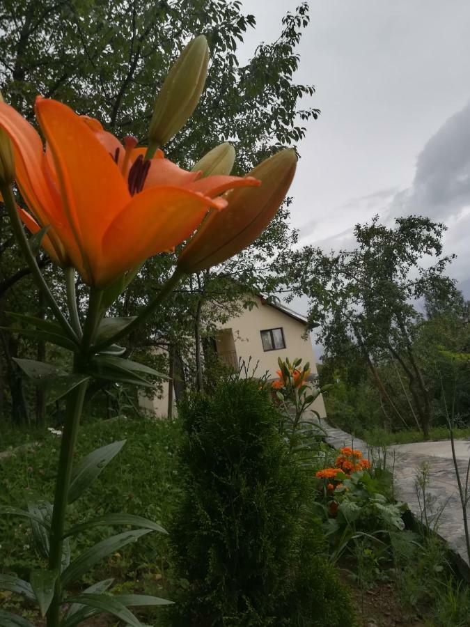 Вилла Casa Flutar Мойсей Экстерьер фото